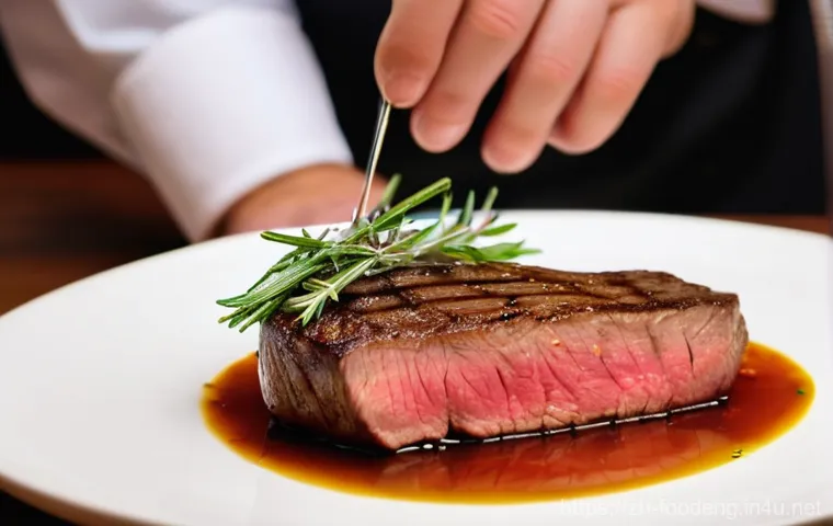 식품 가열과 조리 과학 - **Prompt 1: Sous Vide Perfection - A Chef's Tender Steak**
    A close-up, high-definition photograp...