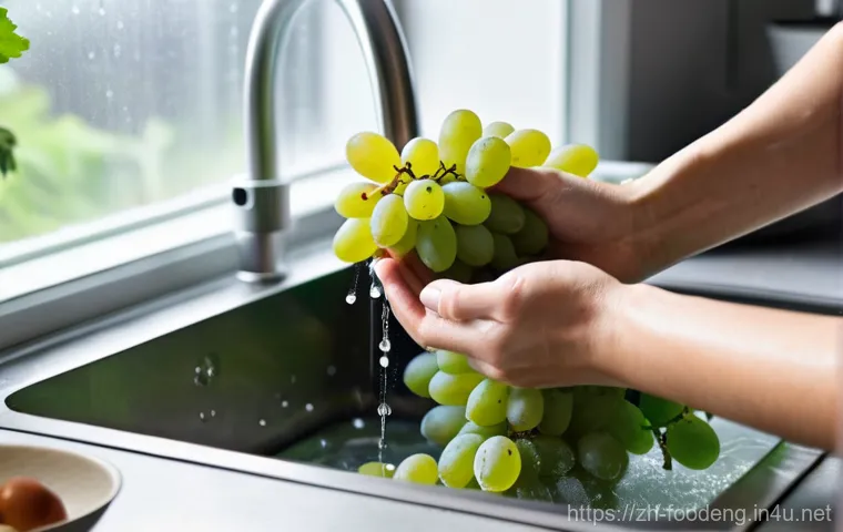 식품에서의 오염물질 제거 방법 - A realistic, brightly lit close-up inside an open refrigerator. The top shelf contains a slightly aj...